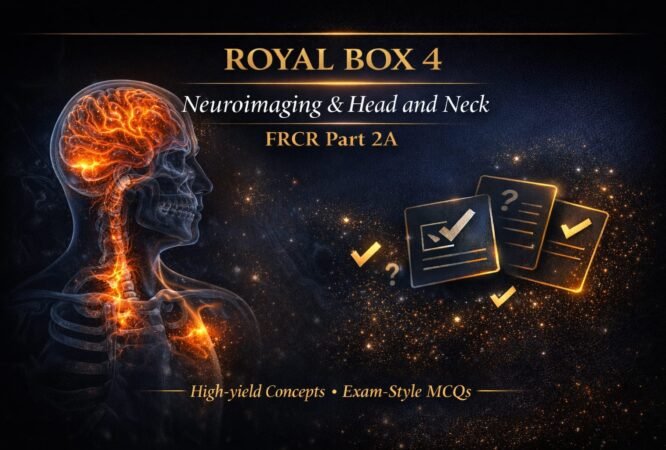 WhatsApp Image 2026-01-20 at 1.32.45 AM (3)