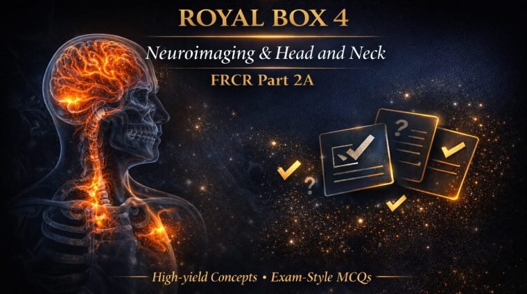 WhatsApp Image 2026-01-20 at 1.32.45 AM (3)