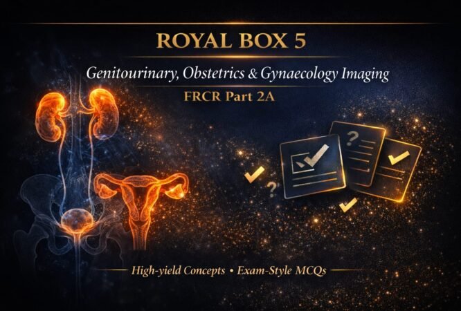 WhatsApp Image 2026-01-20 at 1.32.45 AM (4)