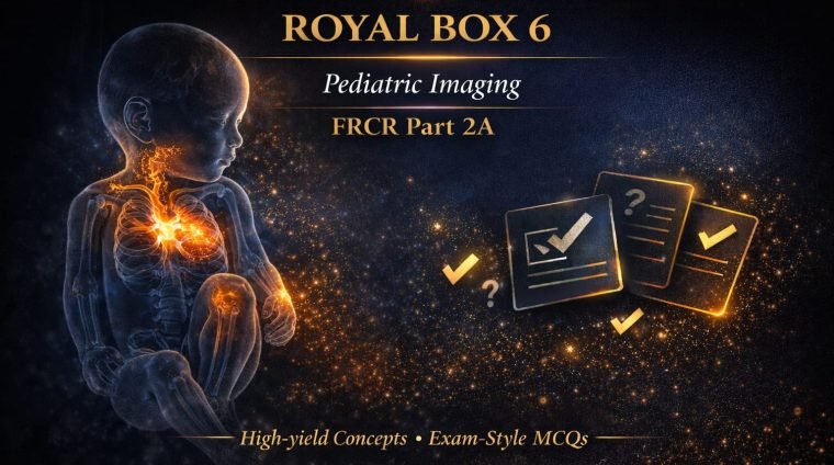 WhatsApp Image 2026-01-20 at 2.54.05 AM